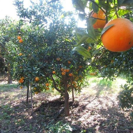 Come In Sicily La Pietra Monaca Leilighet Acireale Eksteriør bilde